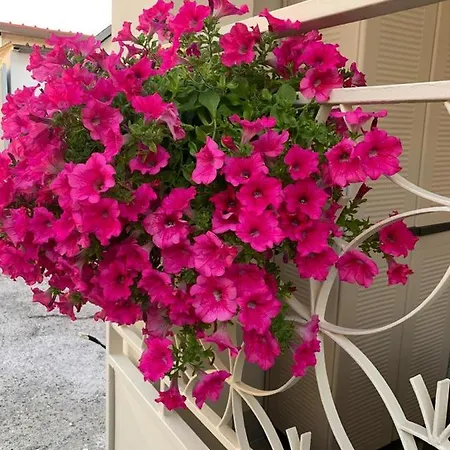 Ca' Toscalina Guest house Carrara