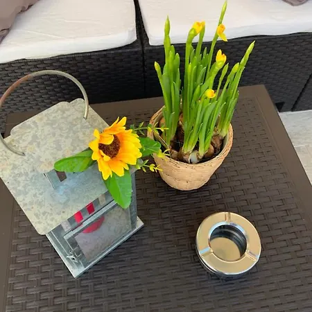 Ca' Toscalina 3* Carrara